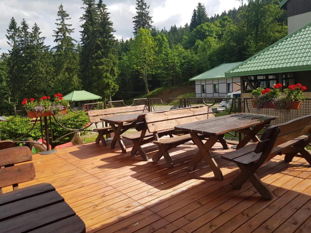 Bialy Potok Acomodação com café da manhã Zieleniec  Exterior foto