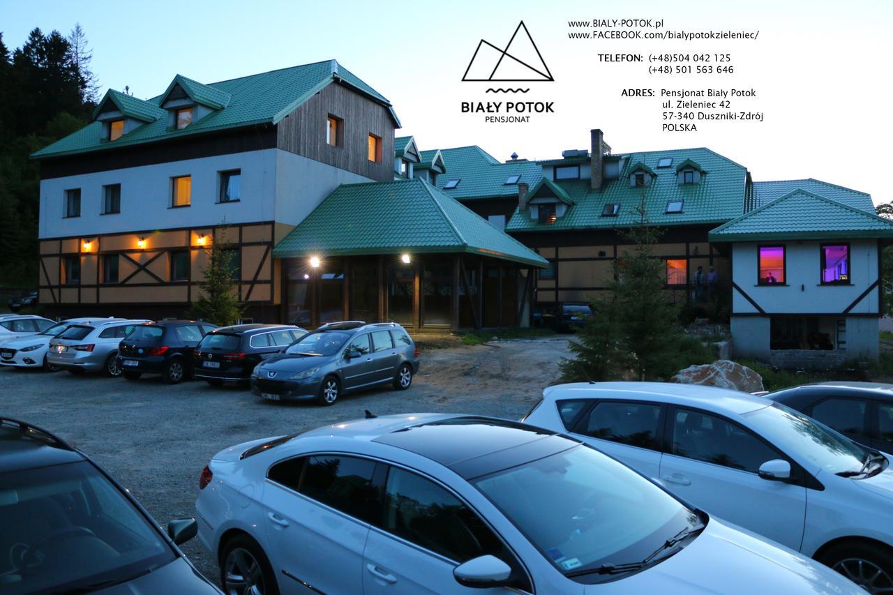 Bialy Potok Acomodação com café da manhã Zieleniec  Exterior foto
